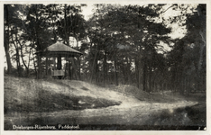 10089 Gezicht op de paddestoelbank en een dennenbos bij Driebergen-Rijsenburg.